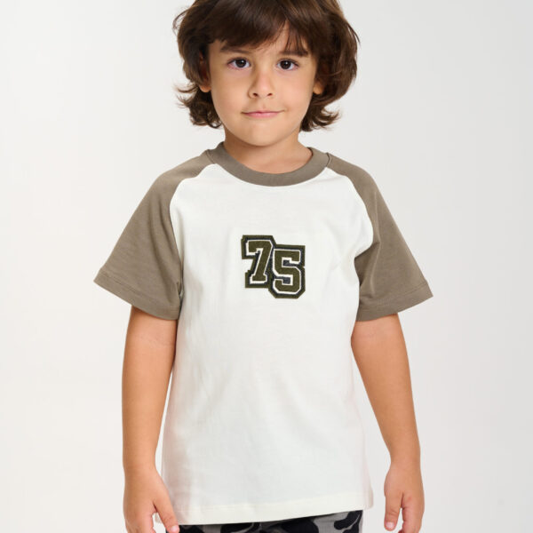 Crew Neck Off-White Grey Sleeves