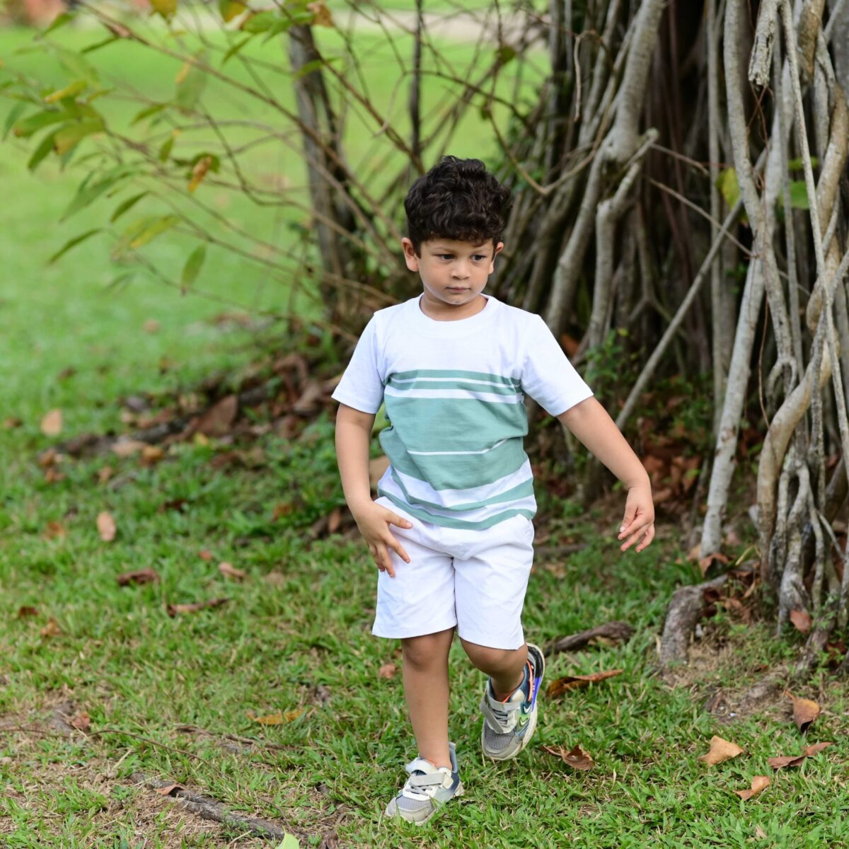 Crew Neck Stripes Green/White - Image 1