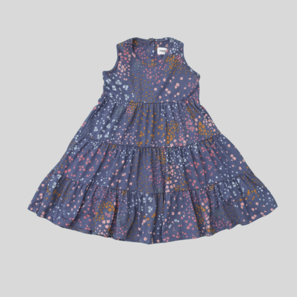 Dress Knit Blue Printed Sleeveless