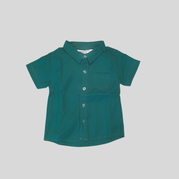 Green Shirt Normal Collar