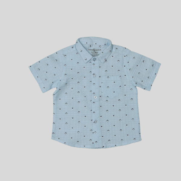 Light Blue Printed Shirt