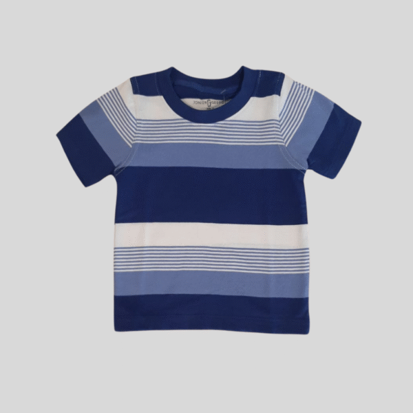 Crew Neck Stripes Light Blue and White T-shirts