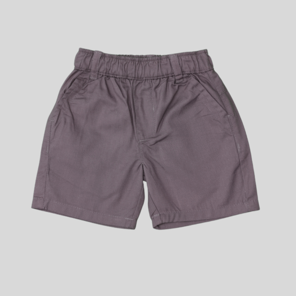 Purple Twill Shorts
